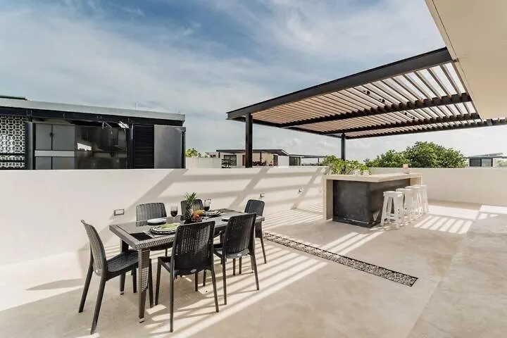公寓 Central Park Penthouse 图卢姆